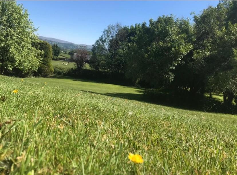 Pippin Lodge Llanwrda Exterior foto